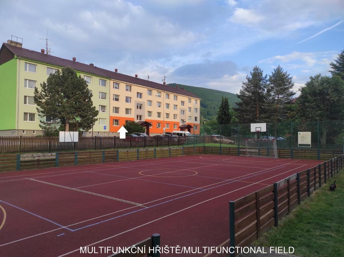 Dobre Misto Apartment Loučná nad Desnou Екстериор снимка