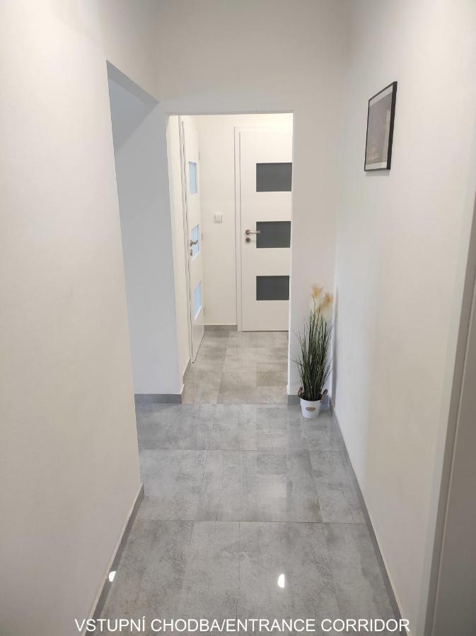 Dobre Misto Apartment Loučná nad Desnou Екстериор снимка